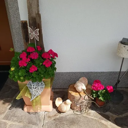 Farm stay Ferienwohnungen Birkenhof Tux