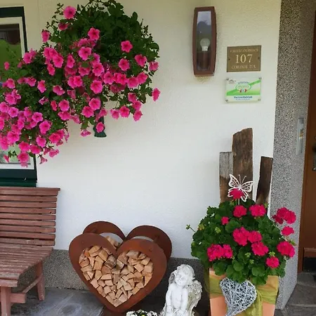 Ferienwohnungen Birkenhof Farm stay